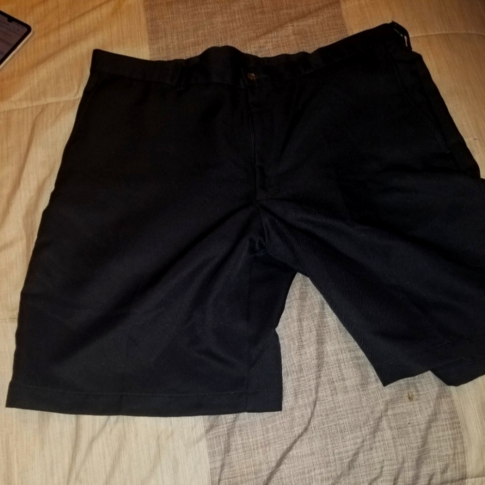 HAGGER Men's Shorts Black Size 36